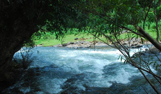 Kalindi Homestay, Wayanad 5